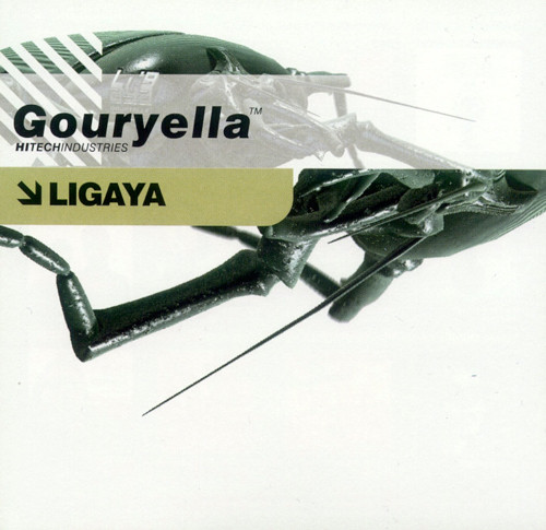 Gouryella - Ligaya